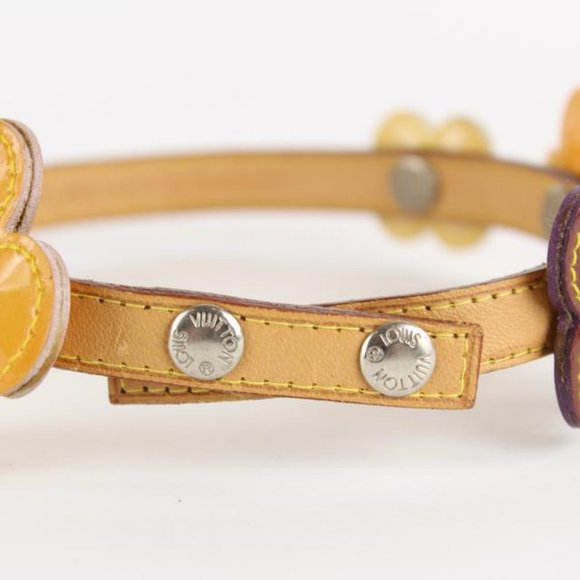 Louis Vuitton Multicolor Vernis Fleur x Vachetta - Picture 6 of 12